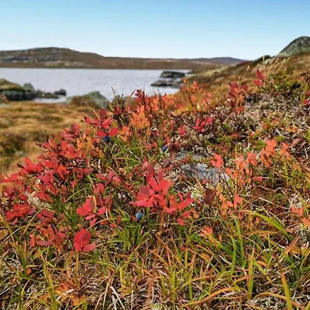 בית נופש Awesome In Voringsfoss With Sauna